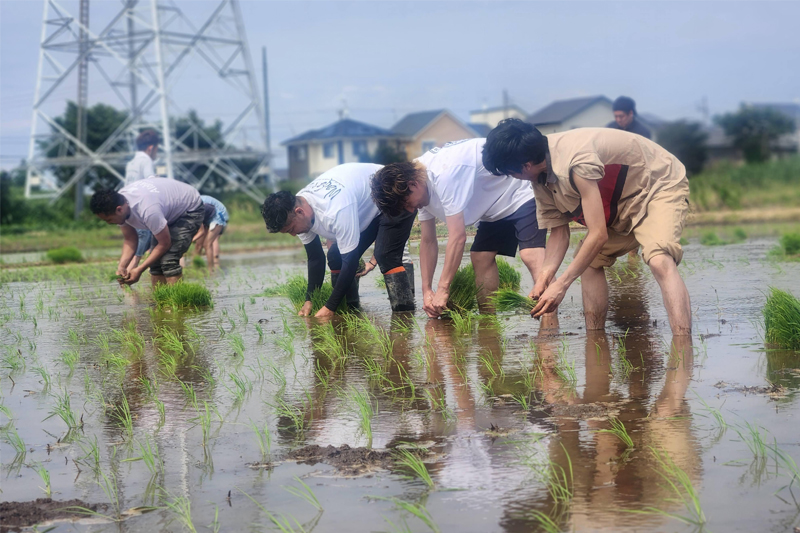 sustainability_activity_local-production-and-consumption.jpg